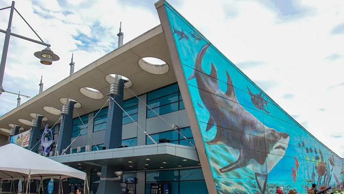 Newport Aquarium Newport Aquarium